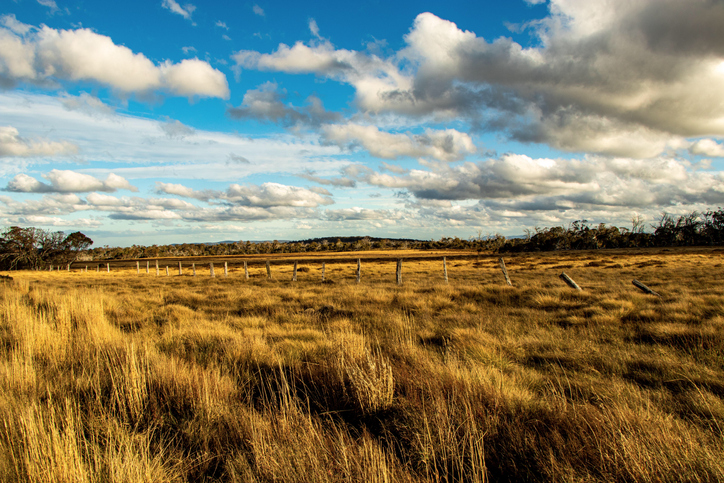 Dargo high plains, Victoria’s Alpine